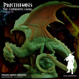 3D Printed Sordane Publishing Young Green Dragon Pantheons The Chromatic Cabal 28 32mm D&D