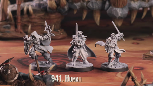3D Printed Cast n Play Human Paladin Dungeon Guild Set 28mm 32mm D&D