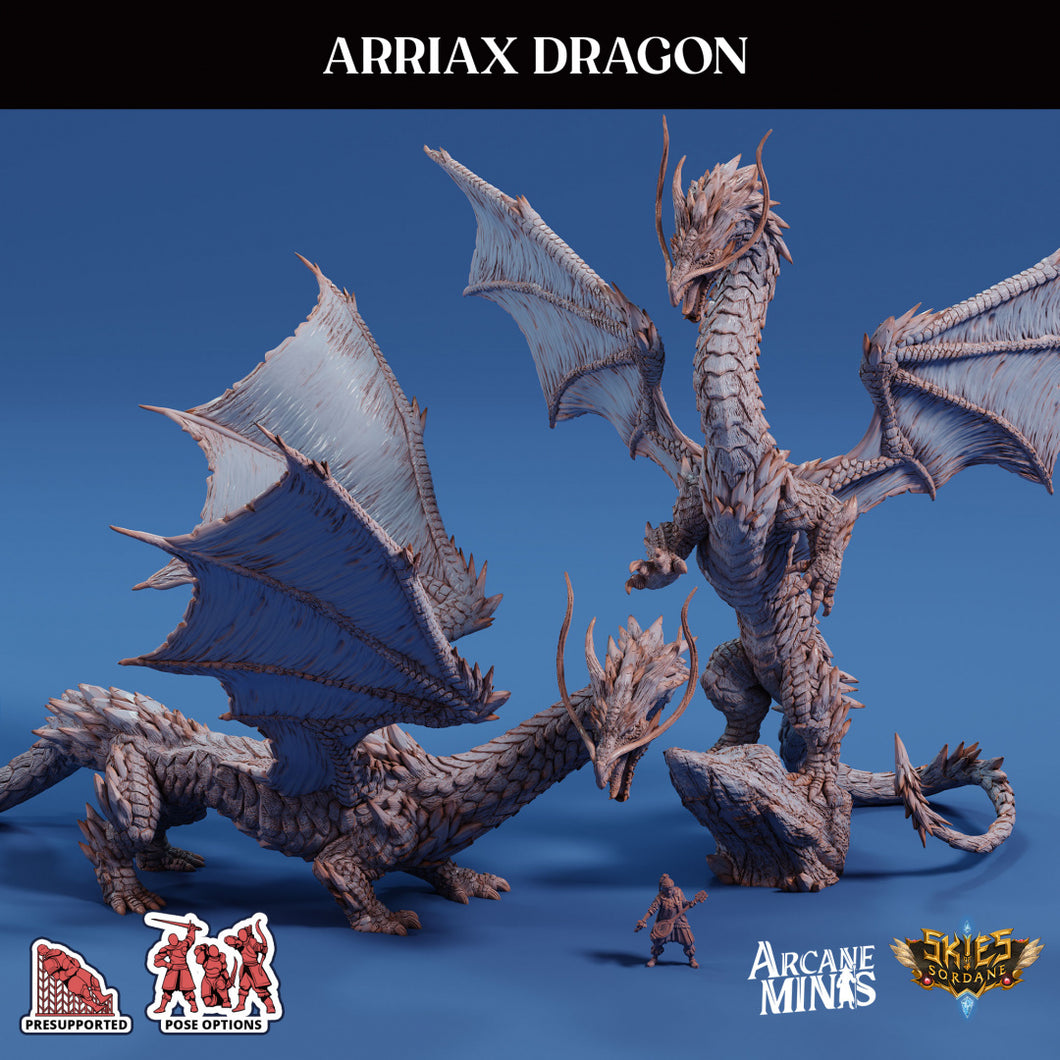 3D Printed Sordane Publishing Arriax Dragon Mighty Skies A Sordane Stories Set 28 32mm D&D
