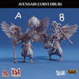 3D Printed Sordane Publishing Avensari Corvi Druid Mighty Skies A Sordane Stories Set 28 32mm D&D