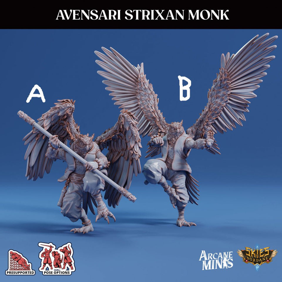 3D Printed Sordane Publishing Arcane Minis Avensari Strixan Monk Mighty Skies A Sordane Stories Set 28 32mm D&D