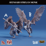 3D Printed Sordane Publishing Arcane Minis Avensari Strixan Monk Mighty Skies A Sordane Stories Set 28 32mm D&D