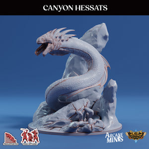 3D Printed Sordane Publishing Canyon Hessats 28 32mm D&D