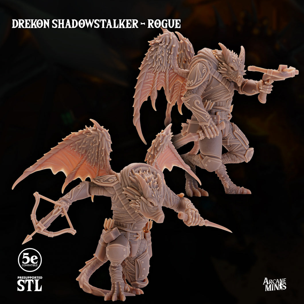3D Printed Sordane Publishing Drekon Shadowstalker Rogue Set 28 32mm D&D