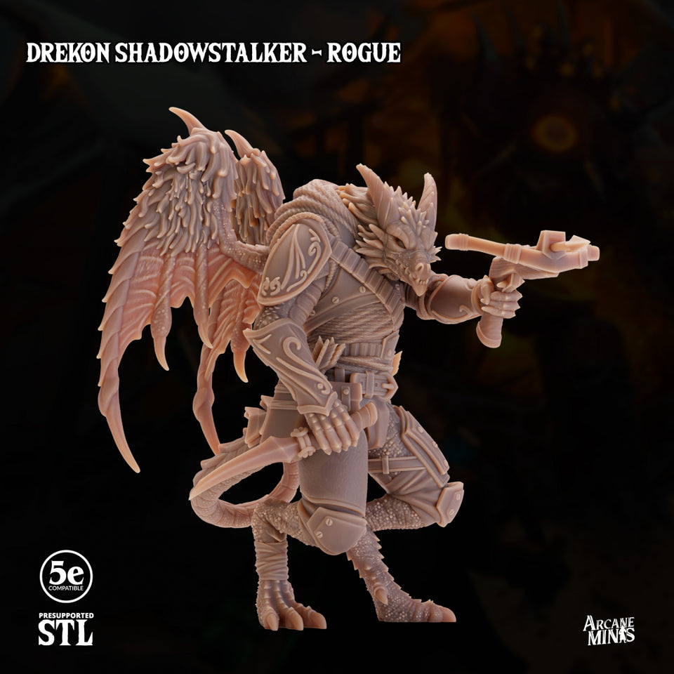 3D Printed Sordane Publishing Drekon Shadowstalker Rogue Set 28 32mm D&D