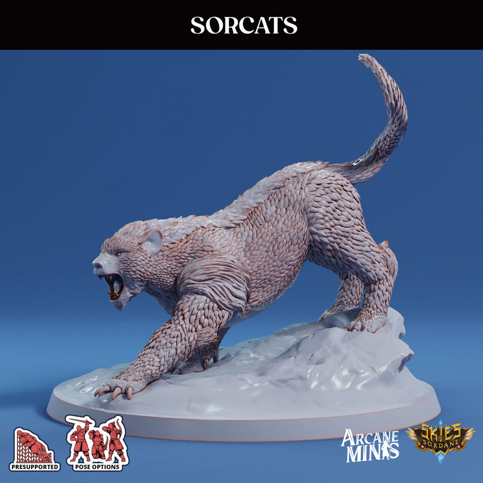3D Printed Sordane Publishing Sorcats 28 32mm D&D