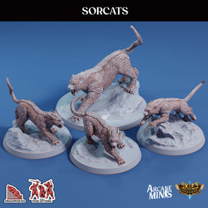 3D Printed Sordane Publishing Sorcats 28 32mm D&D