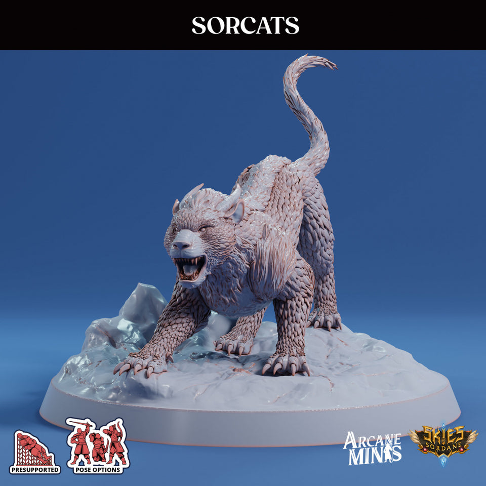 3D Printed Sordane Publishing Sorcats 28 32mm D&D