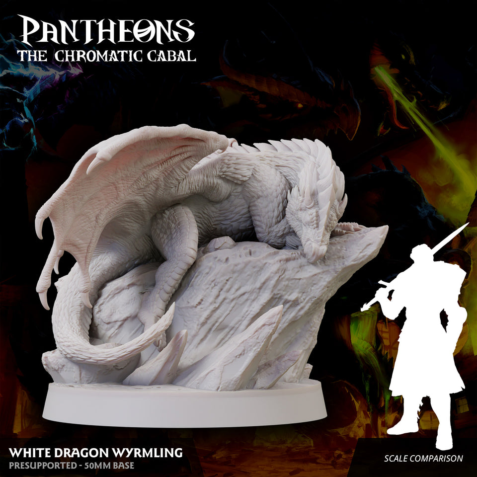3D Printed Sordane Publishing Wyrmling White Dragon Pantheons - The Chromatic Cabal 28 32mm D&D