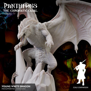 3D Printed Sordane Publishing Young White Dragon Pantheons The Chromatic Cabal 28 32mm D&D