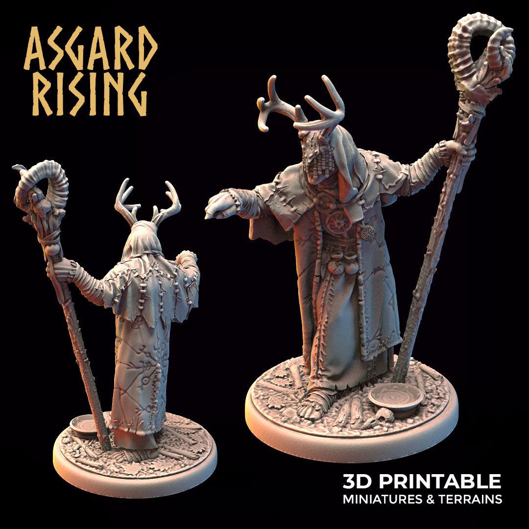 3D Printed Asgard Rising Hofgothi Shaman Seer Wizard | 32mm D&D - 3D Printing Boss 