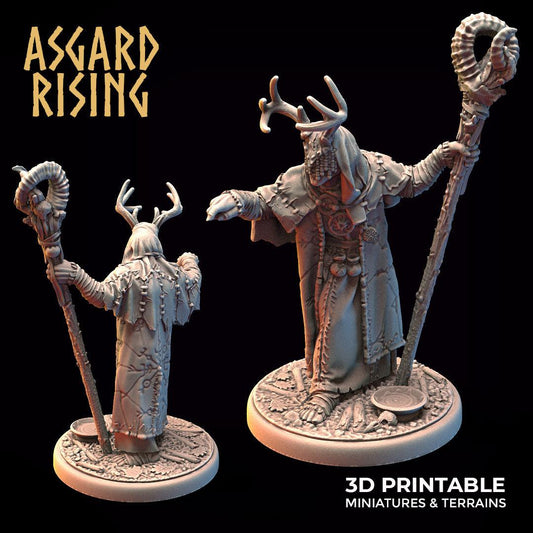 3D Printed Asgard Rising Hofgothi Shaman Seer Wizard | 32mm D&D - 3D Printing Boss 