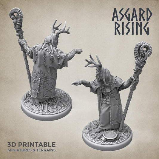 3D Printed Asgard Rising Hofgothi Shaman Seer Wizard | 32mm D&D - 3D Printing Boss 