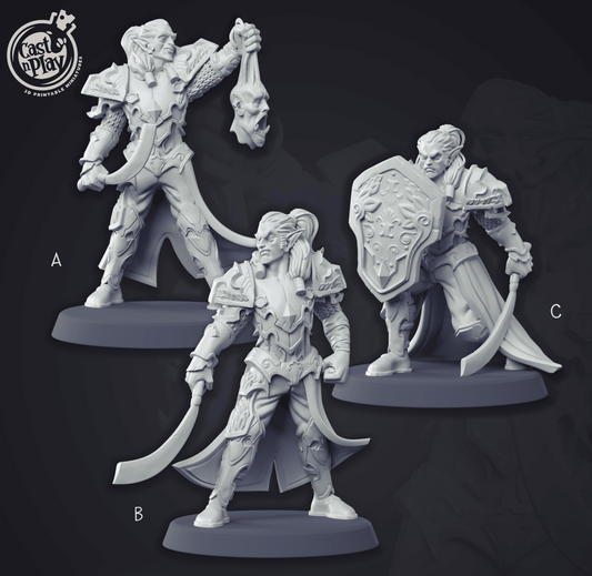 3D Printed Cast n Play Elvish Warrior Champion Set 28mm 32mm D&D - 3D Printing Boss 