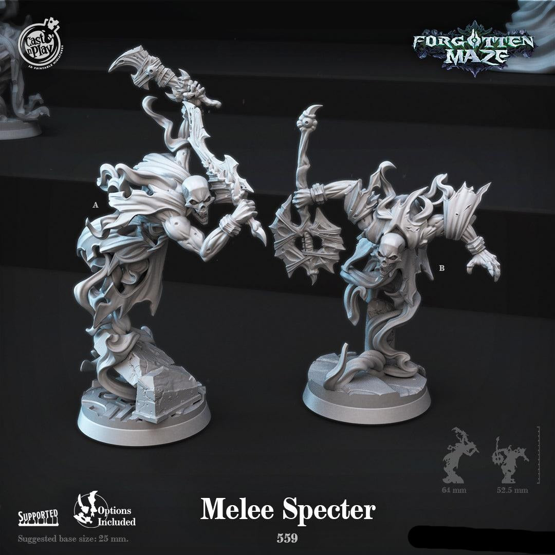 3D Printed Cast n Play Melee Specter Forgotten Maze 28mm 32mm D&D - 3D Printing Boss 