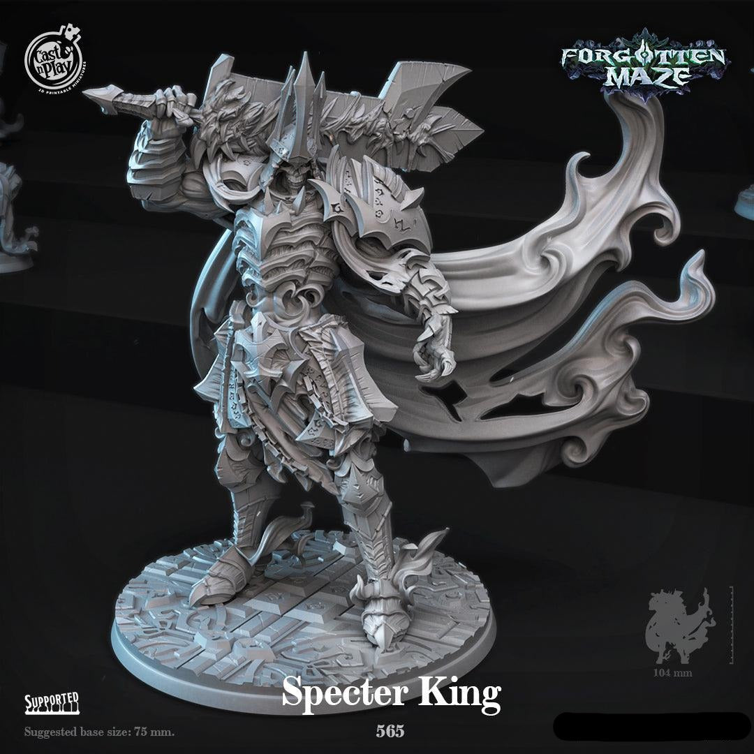 3D Printed Cast n Play Specter King Forgotten Maze 28mm 32mm D&D - 3D Printing Boss 