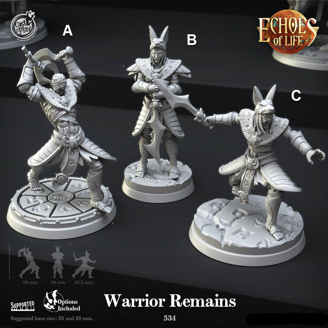3D Printed Cast n Play Warrior Remains Echoes of Life 28 32mm D&D - 3D Printing Boss 