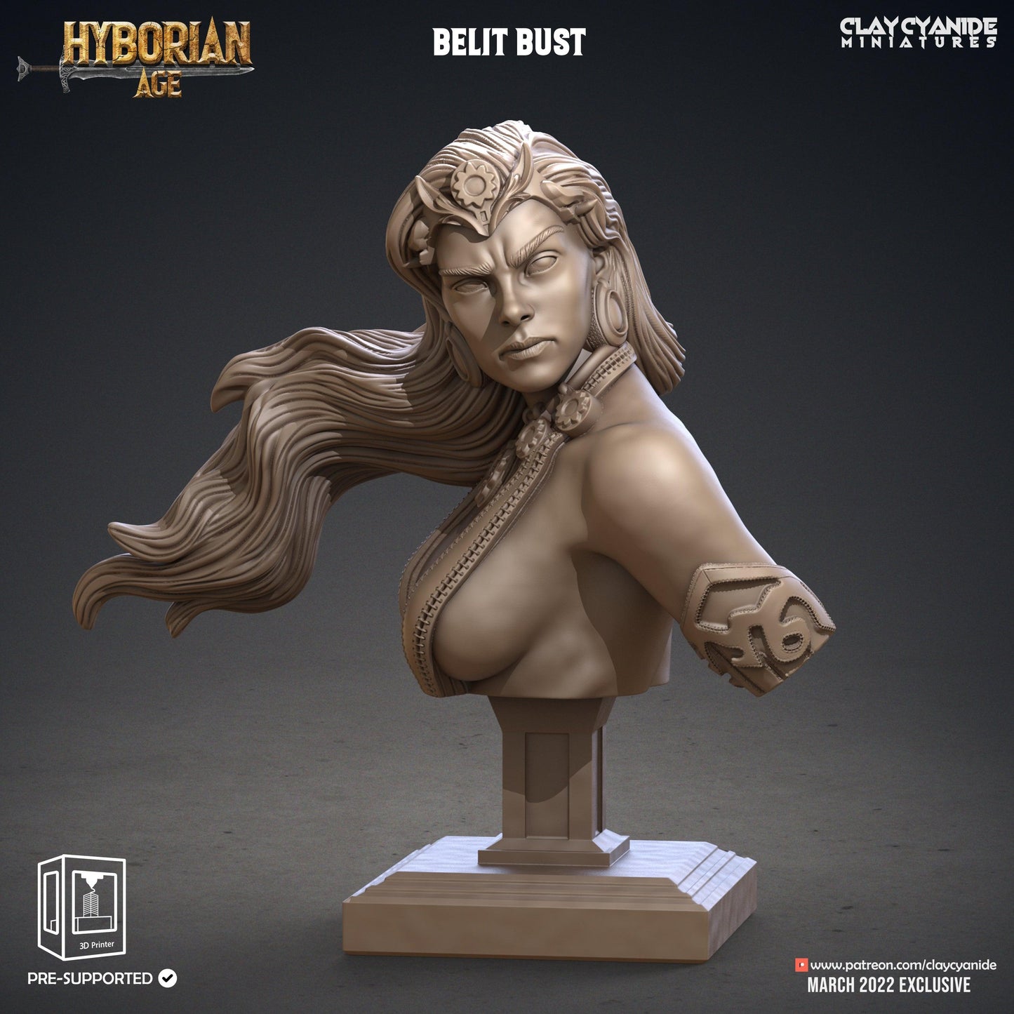 3D Printed Clay Cyanide Belit Bust Hyborean Age Ragnarok D&D - 3D Printing Boss 