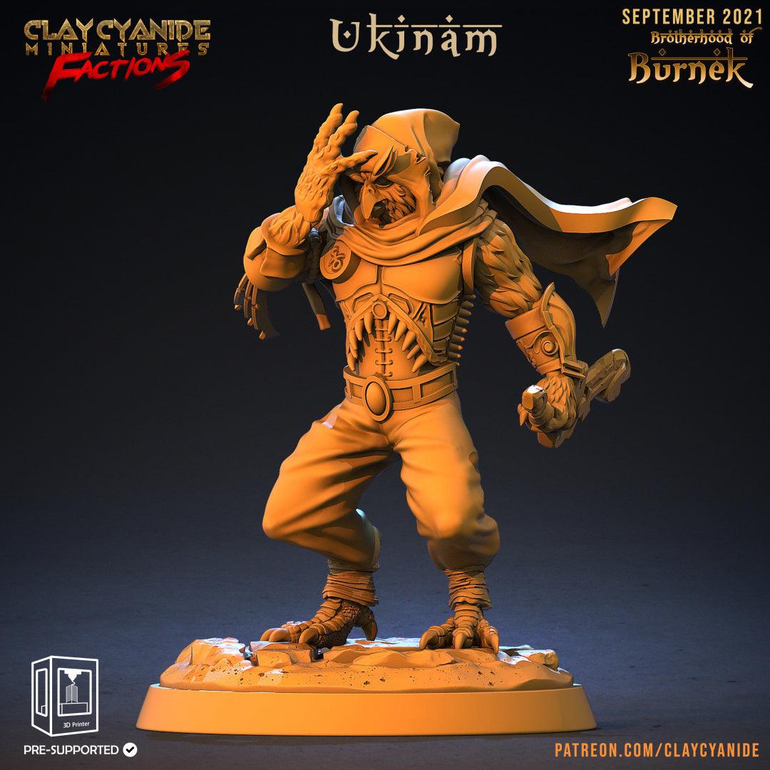 3D Printed Clay Cyanide Burneks Birdmen Owlmen Factions Ragnarok D&D - 3D Printing Boss 