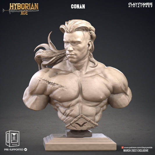 3D Printed Clay Cyanide Conan Bust Hyborean Age Ragnarok D&D - 3D Printing Boss 
