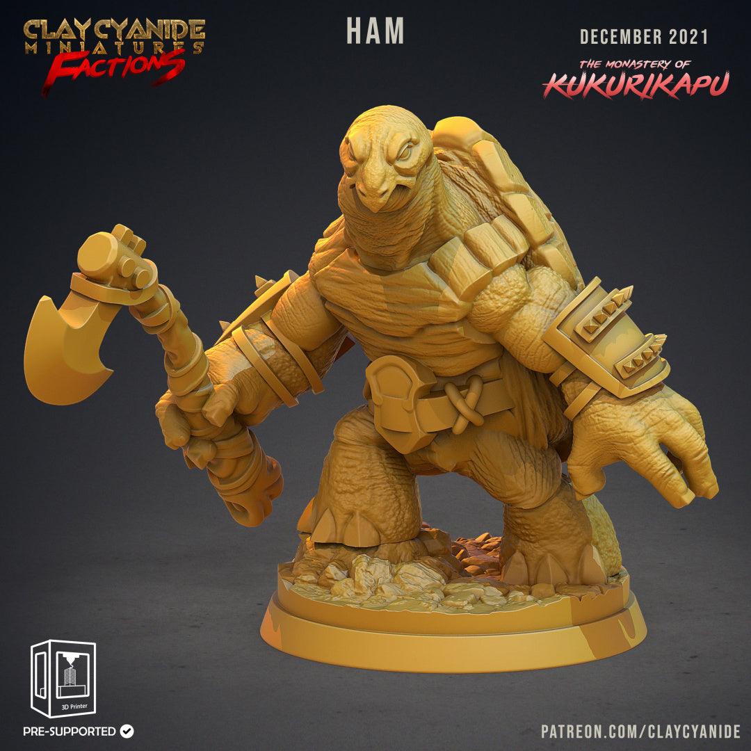 3D Printed Clay Cyanide Kukurikapu Monastery of Turtle-folk Factions Ragnarok D&D - 3D Printing Boss 