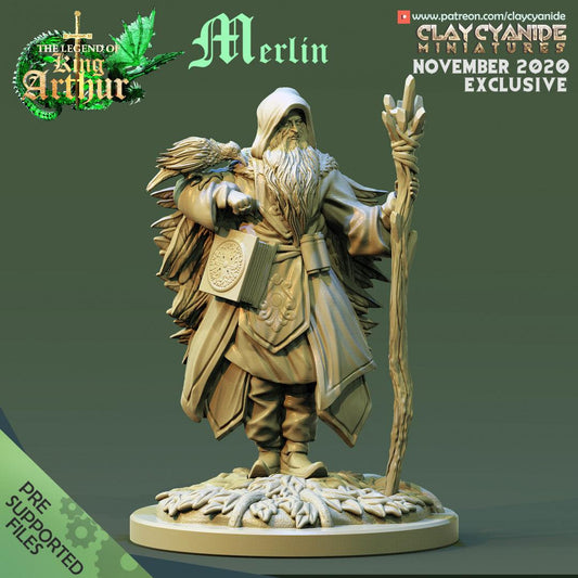 3D Printed Clay Cyanide Merlin The Legend of King Arthur Ragnarok D&D - 3D Printing Boss 