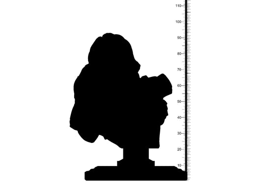 3D Printed Clay Cyanide Red Sonja Bust Hyborean Age Ragnarok D&D - 3D Printing Boss 