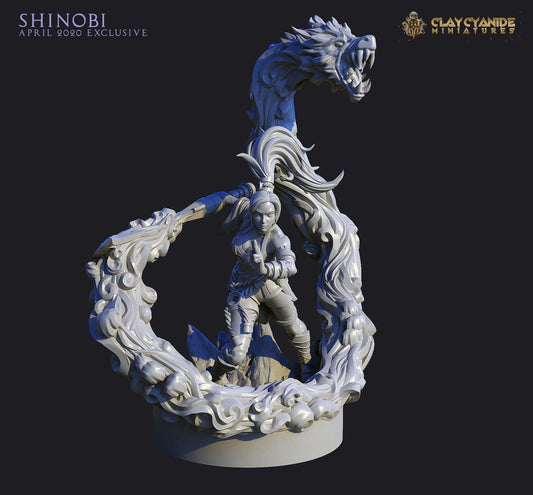 3D Printed Clay Cyanide Shinobi Ragnarok D&D - 3D Printing Boss 
