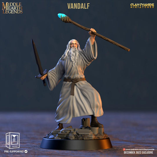 3D Printed Clay Cyanide Vandalf Middle Earth Legends 28 32 mm D&D - 3D Printing Boss 