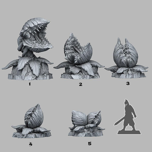 3D Printed Fantastic Plants and Rocks Massive Carnivorous Plants 28mm - 32mm D&D Wargaming - 3D Printing Boss 