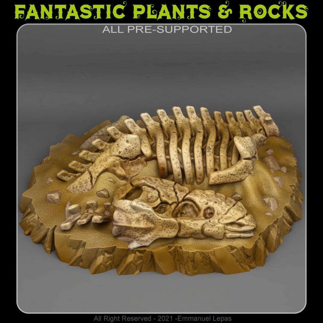 3D Printed Fantastic Plants and Rocks T-REX FOSSIL 28mm - 32mm D&D Wargaming - 3D Printing Boss 