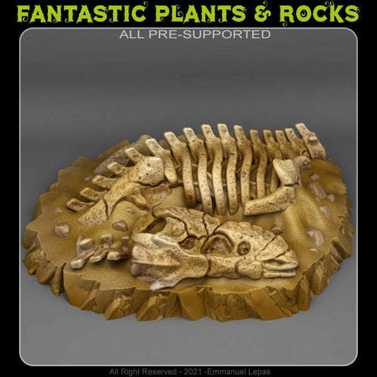 3D Printed Fantastic Plants and Rocks T-REX FOSSIL 28mm - 32mm D&D Wargaming - 3D Printing Boss 