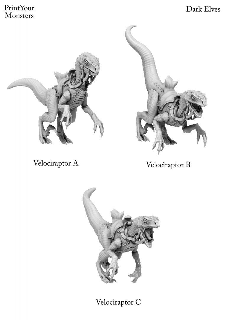 3D Printed Print Your Monsters Dark Elves Raptor Mounts Set 28mm - 32mm D&D Wargaming - 3D Printing Boss 