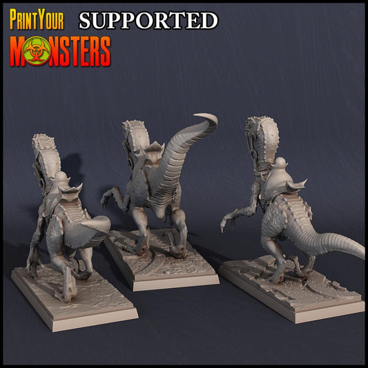 3D Printed Print Your Monsters Dark Elves Raptor Mounts Set 28mm - 32mm D&D Wargaming - 3D Printing Boss 