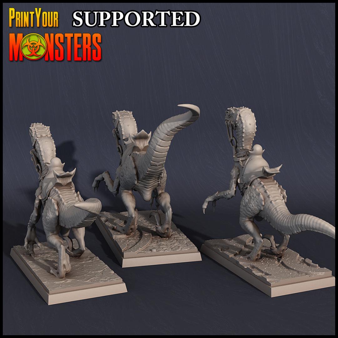 3D Printed Print Your Monsters Dark Elves Rider Set C 28mm - 32mm D&D Wargaming - 3D Printing Boss 