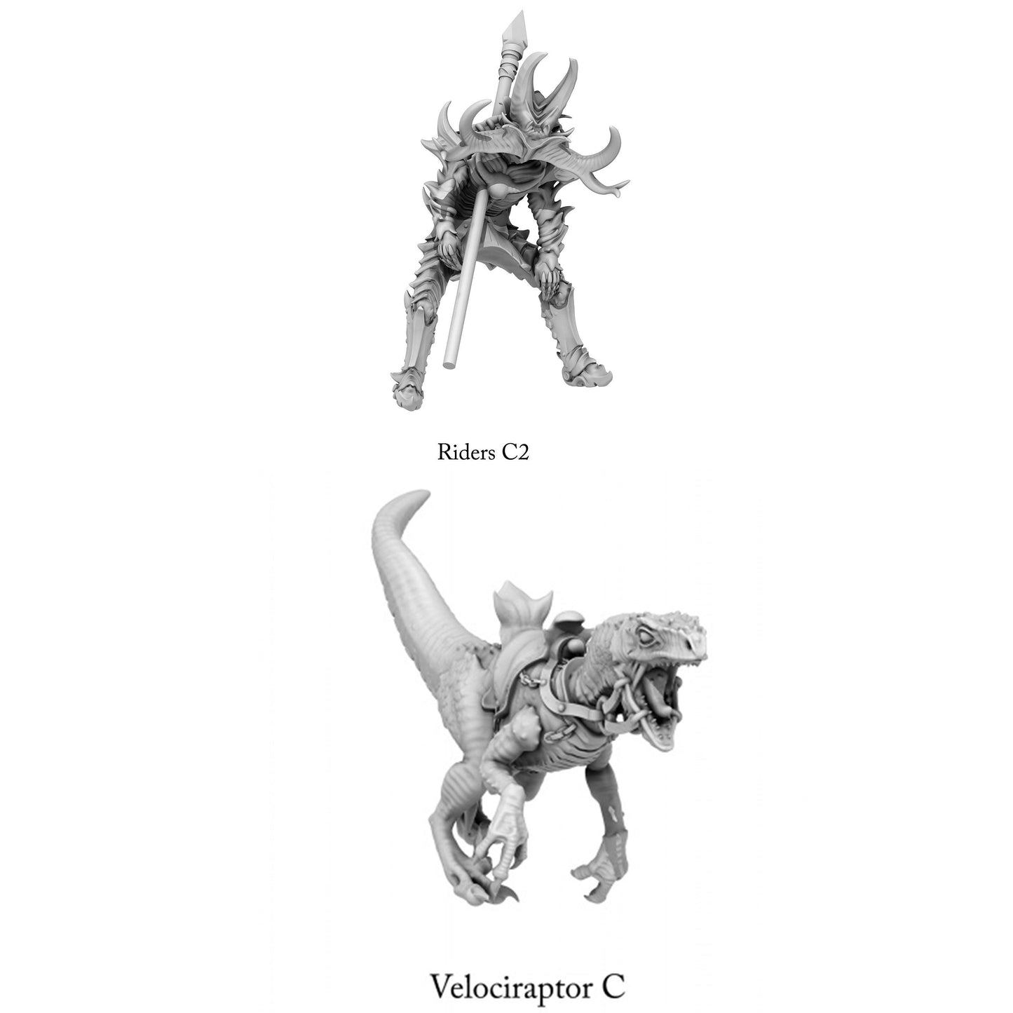 3D Printed Print Your Monsters Dark Elves Rider Set C 28mm - 32mm D&D Wargaming - 3D Printing Boss 