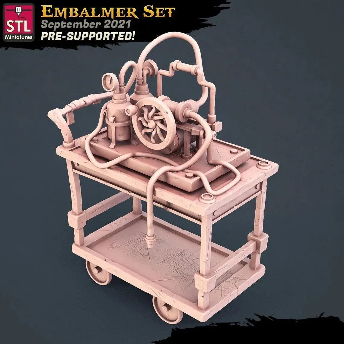 3D Printed STL Miniatures Embalmer Set Fantasy NPC 2 | 28 - 32mm War Gaming D&D - 3D Printing Boss 