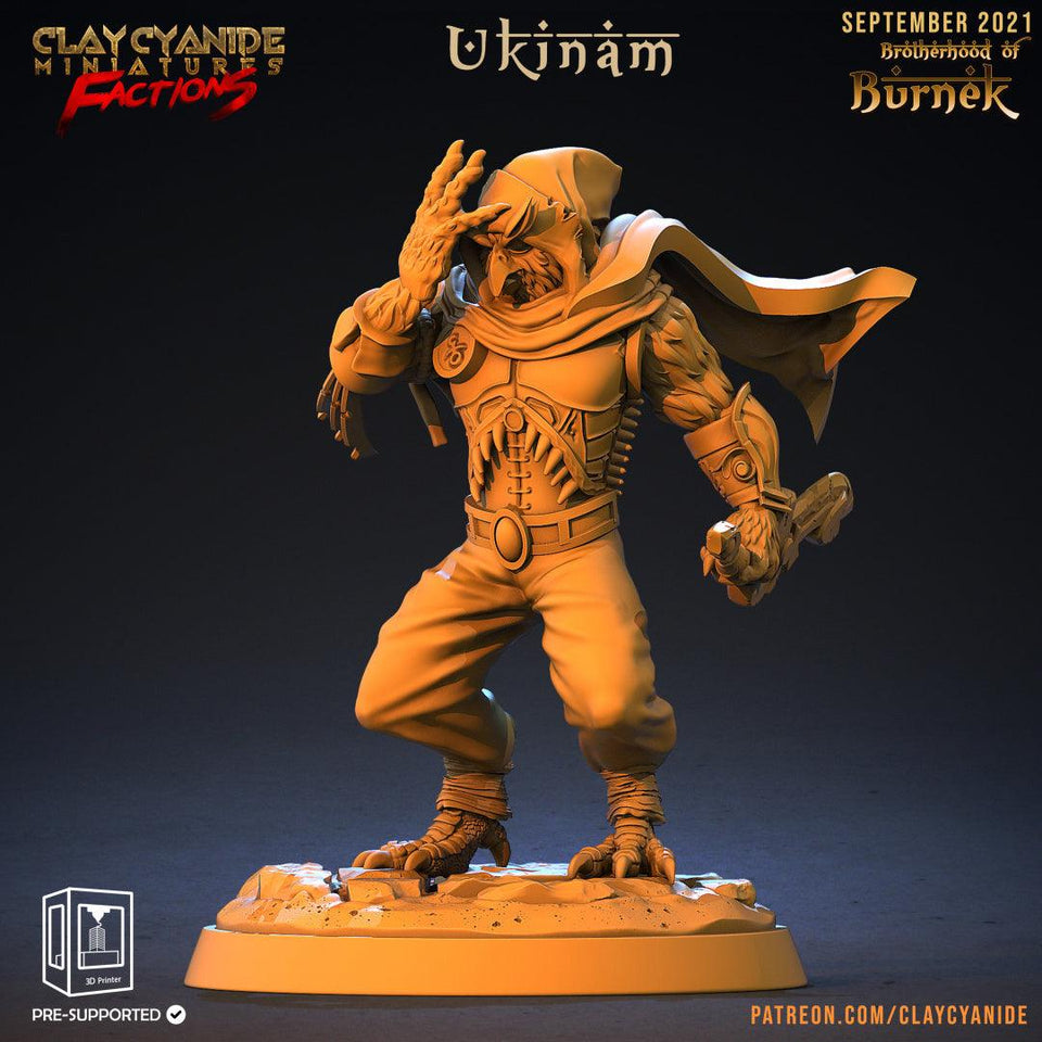 3D Printed Clay Cyanide Burneks Birdmen Owlmen Factions Ragnarok D&D - Charming Terrain