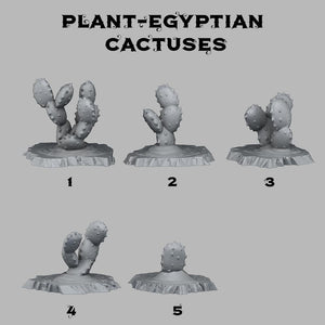 3D Printed Fantastic Plants and Rocks Egyptian Cactuses 28mm - 32mm D&D Wargaming - Charming Terrain