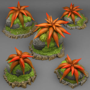 3D Printed Fantastic Plants and Rocks Mysterious Starfish Flowers 28mm - 32mm D&D Wargaming - Charming Terrain