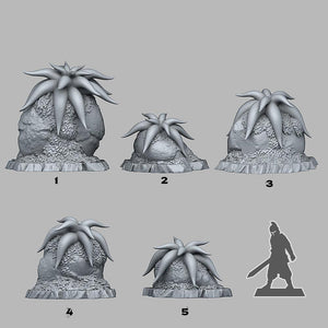 3D Printed Fantastic Plants and Rocks Mysterious Starfish Flowers 28mm - 32mm D&D Wargaming - Charming Terrain
