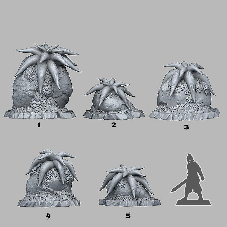 3D Printed Fantastic Plants and Rocks Mysterious Starfish Flowers 28mm - 32mm D&D Wargaming - Charming Terrain