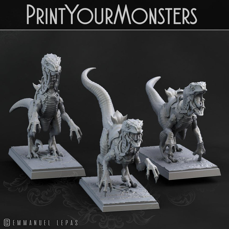 3D Printed Print Your Monsters Dark Elves Raptor Mounts Set 28mm - 32mm D&D Wargaming - Charming Terrain