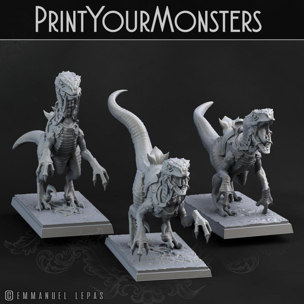 3D Printed Print Your Monsters Dark Elves Raptor Mounts Set 28mm - 32mm D&D Wargaming - Charming Terrain