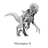 3D Printed Print Your Monsters Dark Elves Raptor Mounts Set 28mm - 32mm D&D Wargaming - Charming Terrain
