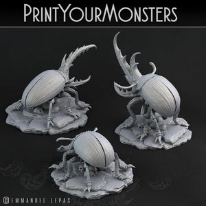 3D Printed Print Your Monsters Giant Beetles Total Insects 28mm - 32mm D&D Wargaming - Charming Terrain