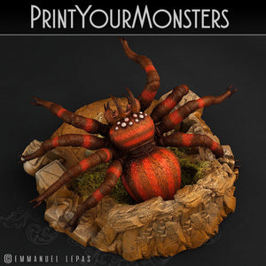 3D Printed Print Your Monsters Hollowhaunt Tarantula Spider 28mm - 32mm D&D Wargaming - Charming Terrain