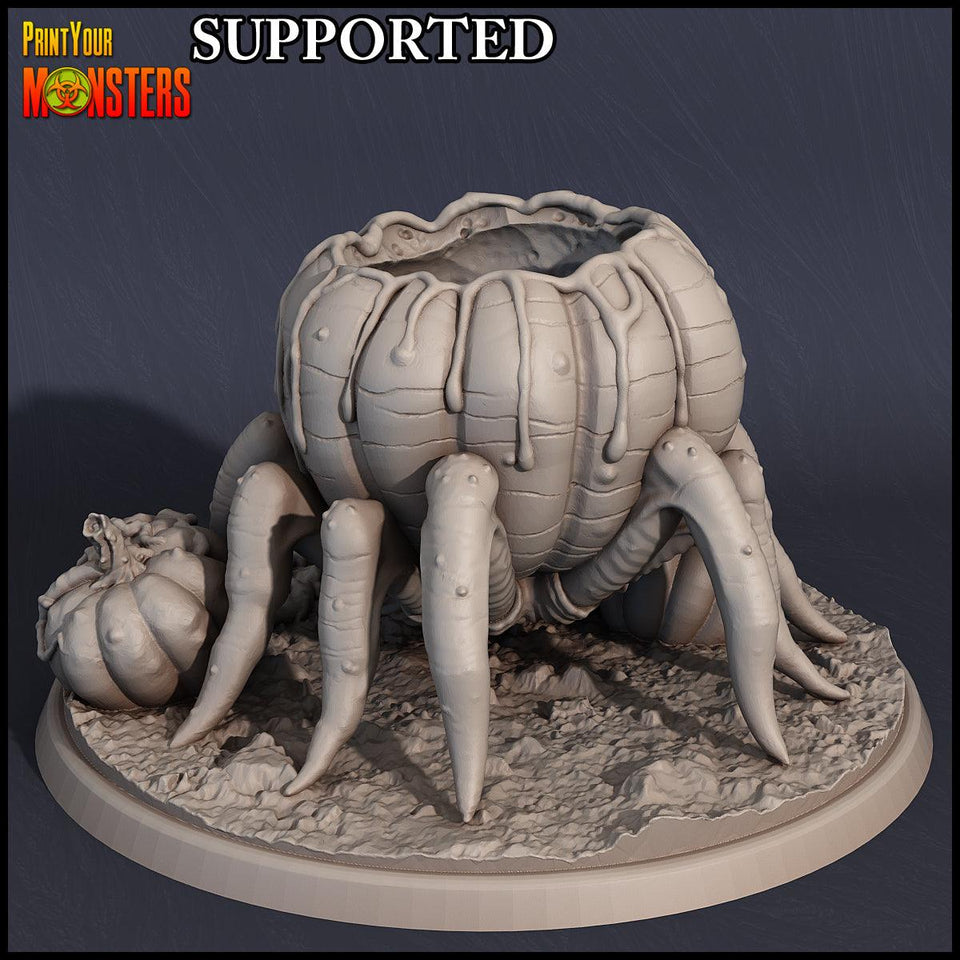 3D Printed Print Your Monsters Pumpkin Spider Pumpkins Attack Pack 28mm - 32mm D&D Wargaming - Charming Terrain