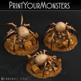3D Printed Print Your Monsters Skullcap Hermit Spiders 28mm - 32mm D&D Wargaming - Charming Terrain