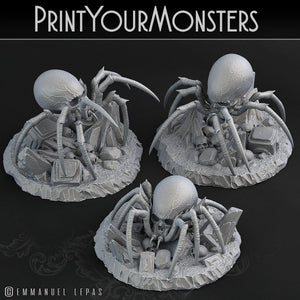 3D Printed Print Your Monsters Skullcap Hermit Spiders 28mm - 32mm D&D Wargaming - Charming Terrain
